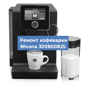 Замена прокладок на кофемашине Nivona 300800825 в Перми